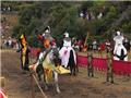 Tournoi de Chevalerie au camps médiéval 