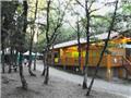 Le camping dans la forêt de Moulès